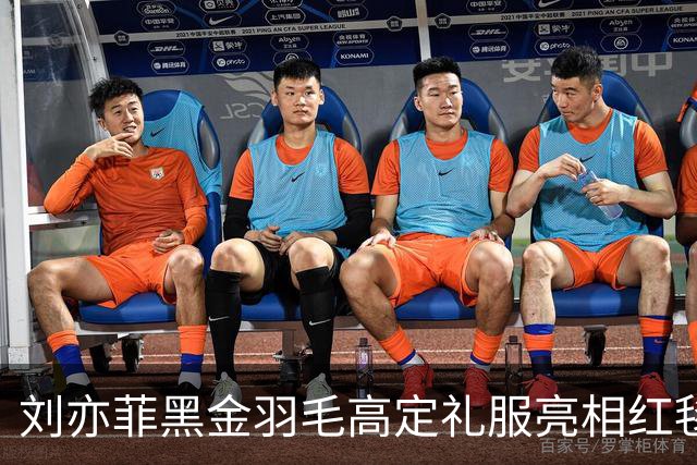 刘亦菲黑金羽毛高定礼服亮相红毯，网友称其“凤凰神女”